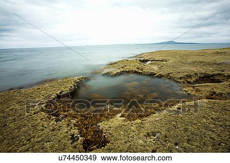 Stock Photo - Water pool on rocky beach. Fotosearch