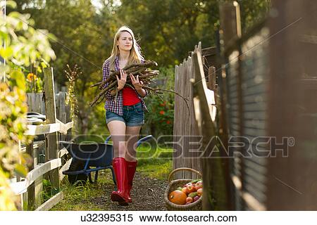 Stock Photography - Woman gathering firewood in garden. Fotosearch