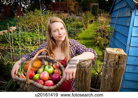 Stock Photo - Woman gathering vegetables in garden. Fotosearch