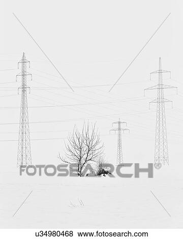 Slovenia in Winter: a forest View Large Photo Image Stock Photo - Slovenia in Winter: a forest. Fotosearch