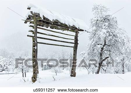 Slovenia in Winter: Hayracks and Apple trees View Large Photo Image Stock Photo - Slovenia in Winter: Hayracks and Apple trees. Fotosearch