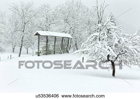 Slovenia in Winter: Hayracks and Apple trees View Large Photo Image Stock Photograph - Slovenia in Winter: Hayracks and Apple trees. Fotosearch