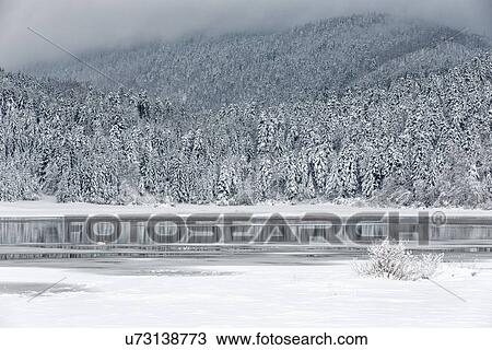 Slovenia in Winter: ice lake View Large Photo Image Stock Image - Slovenia in Winter: ice lake. Fotosearch