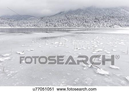 Slovenia in Winter: ice lake View Large Photo Image Stock Image - Slovenia in Winter: ice lake. Fotosearch