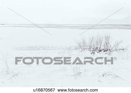 Slovenia in Winter: ice lake View Large Photo Image Stock Photo - Slovenia in Winter: ice lake. Fotosearch