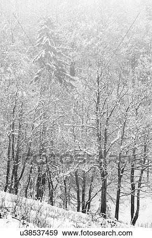 Stock Photo - Slovenia in Winter. Fotosearch