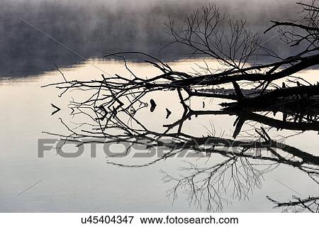 Slovenia in Winter View Large Photo Image Stock Photo - Slovenia in Winter. Fotosearch
