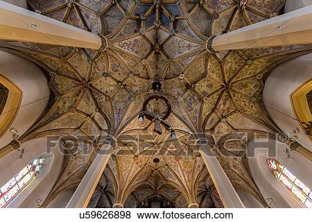 Slovenia: Looking Up View Large Photo Image Stock Photo - Slovenia: Looking Up. Fotosearch