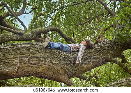 Boy lying on branch of forest tree View Large Photo Image Stock Photography - Boy lying on branch of forest tree. Fotosearch