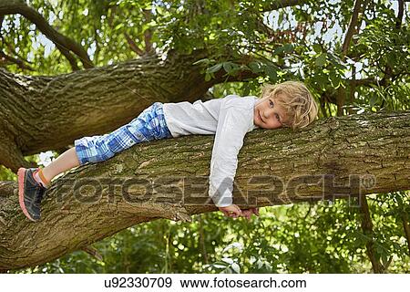 Boy lying on forest tree branch View Large Photo Image Stock Photo - Boy lying on forest tree branch. Fotosearch