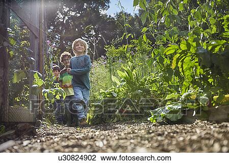 Boys playing hide and seek on allotment View Large Photo Image Stock Image - Boys playing hide and seek on allotment. Fotosearch