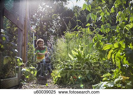 Boys running on allotment View Large Photo Image Stock Photography - Boys running on allotment. Fotosearch