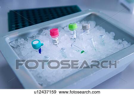 Stock Photo - "Cancer research laboratory, Cells kept in ice after storage in sub zero temperatures in a liquid nitrogen cryopreservation chamber". Fotosearch