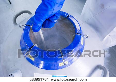 Picture - "Cancer research laboratory, female scientists hand lifting cells stored at sub zero temperatures in a liquid nitrogen cryopreservation chamber". Fotosearch