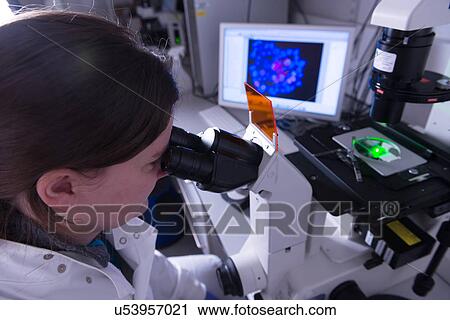 Stock Image - "Cancer research laboratory, female scientist studying electronic microscope". Fotosearch