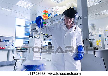 Stock Photo - "Cancer research laboratory, female scientist placing cells stored at sub zero temperatures in a liquid nitrogen cryopreservation chamber". Fotosearch