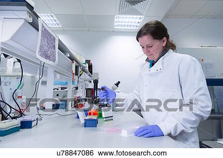 Stock Photograph - "Cancer research laboratory, female scientist dispensing cells using an electronic pipette". Fotosearch