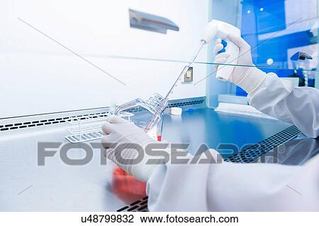 Stock Image - "Cancer research laboratory, gloved hands of scientist preparing cells for centrifuge". Fotosearch