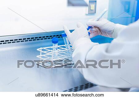 Picture - "Cancer research laboratory, hands of scientist preparing cells for centrifuge". Fotosearch