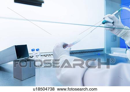 "Cancer research laboratory, hands of scientist dispensing cells with an electronic pipette" View Large Photo Image Stock Photo - "Cancer research laboratory, hands of scientist dispensing cells with an electronic pipette". Fotosearch