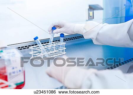 "Cancer research laboratory, hands of male scientist preparing cells for centrifuge" View Large Photo Image Stock Photograph - "Cancer research laboratory, hands of male scientist preparing cells for centrifuge". Fotosearch