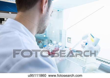 Stock Image - "Cancer research laboratory, male scientist dispensing cells with electronic pipette". Fotosearch