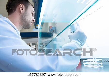 "Cancer research laboratory, male scientist preparing cells for centrifuge using electronic pipette" View Large Photo Image Stock Photo - "Cancer research laboratory, male scientist preparing cells for centrifuge using electronic pipette". Fotosearch