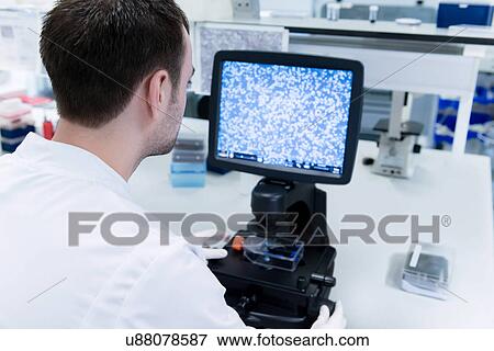 "Cancer research laboratory, male scientist studying cells under the microscope using computer screen" View Large Photo Image Stock Photo - "Cancer research laboratory, male scientist studying cells under the microscope using computer screen". Fotosearch