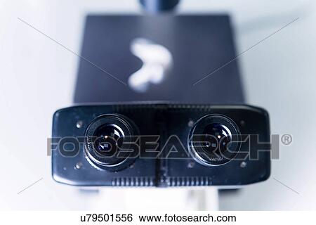 "Cancer research laboratory, microscope" View Large Photo Image Stock Photograph - "Cancer research laboratory, microscope". Fotosearch