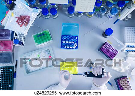 Stock Photography - "Cancer research laboratory, overhead view of scientist working with cells kept in ice after storage in sub zero temperatures in a liquid nitrogen cryopreservation chamber". Fotosearch