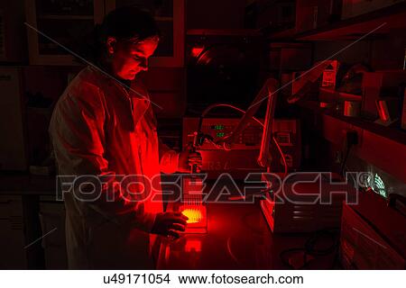 "Cancer research laboratory, Photodynamic therapy, photochemotherapy, female scientist using photosensitive drugs to treat cancer cells" View Large Photo Image Picture - "Cancer research laboratory, Photodynamic therapy, photochemotherapy, female scientist using photosensitive drugs to treat cancer cells". Fotosearch