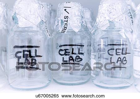 Stock Photography - "Cancer research laboratory, row of sterilised cell jars". Fotosearch