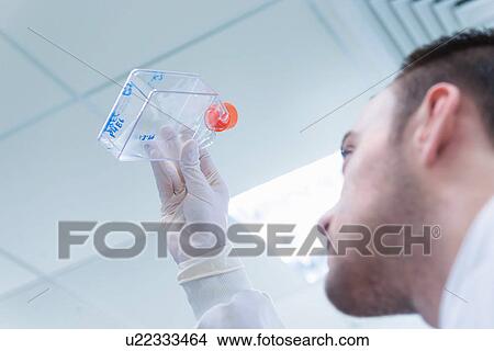 "Cancer research laboratory, scientist holding up plastic bottle with cells in solution" View Large Photo Image Picture - "Cancer research laboratory, scientist holding up plastic bottle with cells in solution". Fotosearch