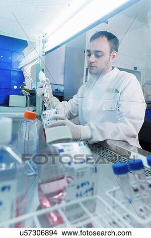 "Cancer research laboratory, scientist dispensing cells with an electronic pipette" View Large Photo Image Picture - "Cancer research laboratory, scientist dispensing cells with an electronic pipette". Fotosearch