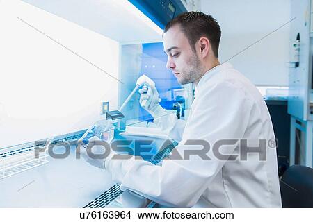 "Cancer research laboratory, scientist preparing cells using electronic pipette" View Large Photo Image Picture - "Cancer research laboratory, scientist preparing cells using electronic pipette". Fotosearch
