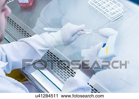 "Cancer research laboratory, scientist preparing cells for centrifuge using an electronic pipette" View Large Photo Image Stock Image - "Cancer research laboratory, scientist preparing cells for centrifuge using an electronic pipette". Fotosearch