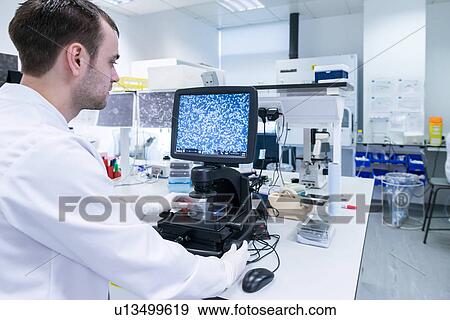 Stock Photo - "Cancer research laboratory, scientist studying cells under the microscope using computer screen". Fotosearch