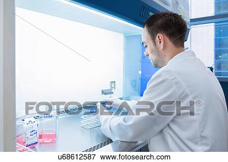 "Cancer research laboratory, Scientist preparing cells for centrifuge" View Large Photo Image Stock Photo - "Cancer research laboratory, Scientist preparing cells for centrifuge". Fotosearch