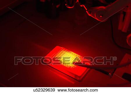 "Cancer research laboratory, Photodynamic therapy, photochemotherapy, using photosensitive drugs to treat cancer cells" View Large Photo Image Stock Photo - "Cancer research laboratory, Photodynamic therapy, photochemotherapy, using photosensitive drugs to treat cancer cells". Fotosearch