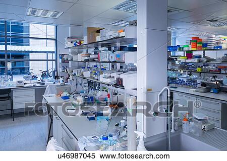 Cancer research laboratory View Large Photo Image Stock Photography - Cancer research laboratory. Fotosearch