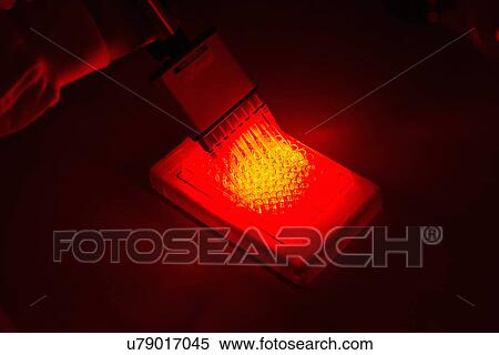 "Cancer research laboratory, Photodynamic therapy, photochemotherapy, hand of scientist using photosensitive drugs to treat cancer cells" View Large Photo Image Stock Photography - "Cancer research laboratory, Photodynamic therapy, photochemotherapy, hand of scientist using photosensitive drugs to treat cancer cells". Fotosearch