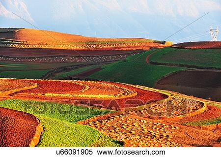 "Colourful fields, Yunnan, China. " View Large Photo Image Stock Photography - "Colourful fields, Yunnan, China. ". Fotosearch