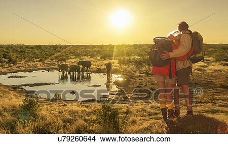 Picture - "Couple looking at elephants at watering hole at sunset, Etosha National Park, Namibia". Fotosearch