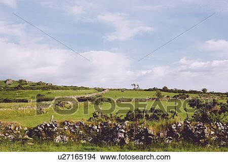 Picture - "Dartmoor National Park, Devon". Fotosearch
