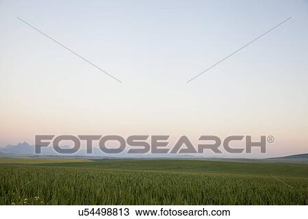 "Deserted grass field, Cape Town, South Africa" View Large Photo Image Stock Image - "Deserted grass field, Cape Town, South Africa". Fotosearch