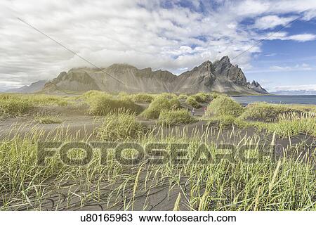 "Distant view of brother and sister playing in sand dune, Stokksnes, Iceland" View Large Photo Image Stock Image - "Distant view of brother and sister playing in sand dune, Stokksnes, Iceland". Fotosearch