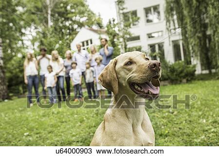 Dog with family in background View Large Photo Image Stock Image - Dog with family in background. Fotosearch