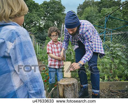 Stock Image - Father explaining how to chop logs to sons. Fotosearch
