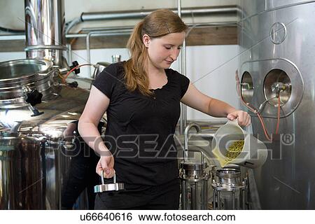 Stock Photograph - Female brewer working in brewhouse. Fotosearch