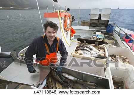 Fisherman gutting fish on boat View Large Photo Image Stock Photograph - Fisherman gutting fish on boat. Fotosearch